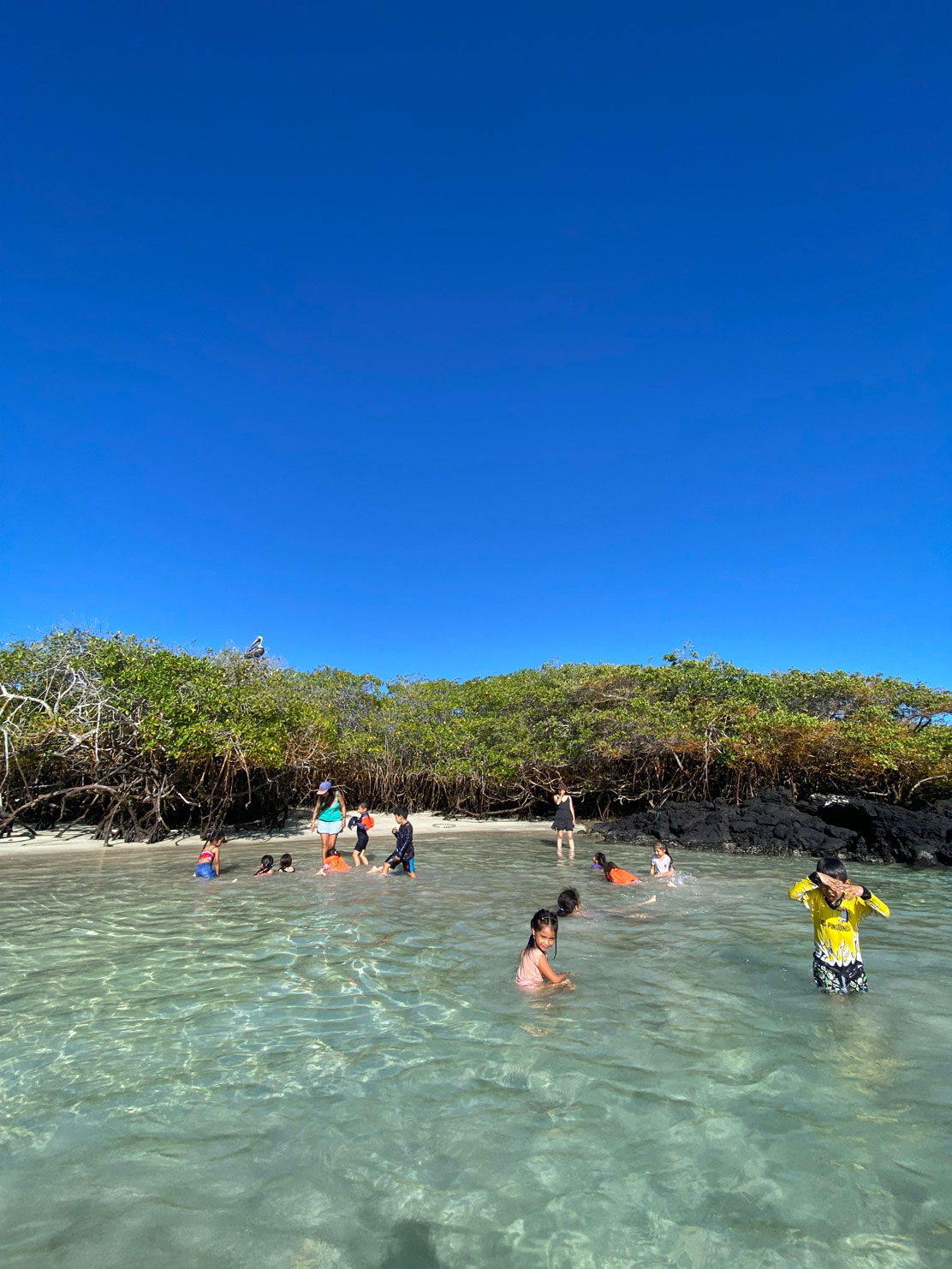 Actividad de voluntariado UFFF